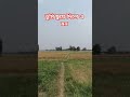 তুমি আমি ছুঁয়ে গেলে এমন হে প্রকৃতি #RiceField #GreenVibes #VillageLife #shortvideo