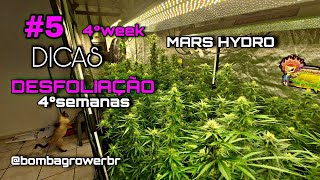 4° SEMANA DE FLORAÇÃO / FAZENDO DESFOLIAÇÃO/ MARSHYDRO TS3000 VS TSL2000 + DICAS DE CULTIVO INDOOR