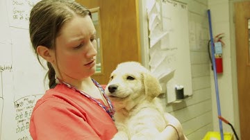 MDRS VR Summer Internship Program 2016