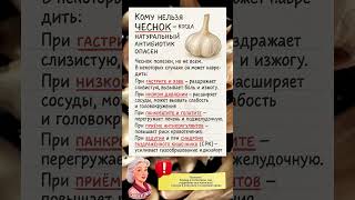 Кому нельзя чеснок — когда «натуральный антибиотик» становится опасным