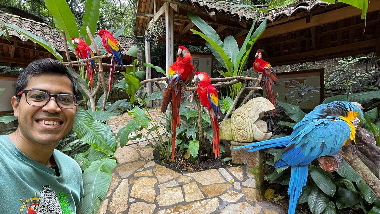 😱 Macaw Mountain “El Santuario de Aves de Honduras 🇭🇳”
