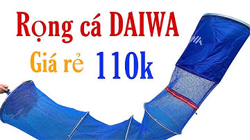 rọng đựng cá daiwa giá rẻ