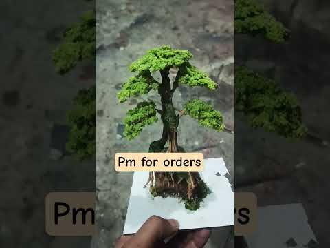 Bonsai design #singer #aquascape #bettadubai #bettafish #bettafishuae #bettasplendens #aquascapegal