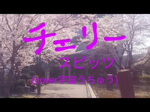 チェリー　スピッツ(女性cover)