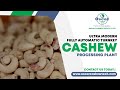 Ultra Modern Fully Automatic Turnkey cashew processing Unit_OSCAR CASHEW TECH_Inquiry :+919714477155