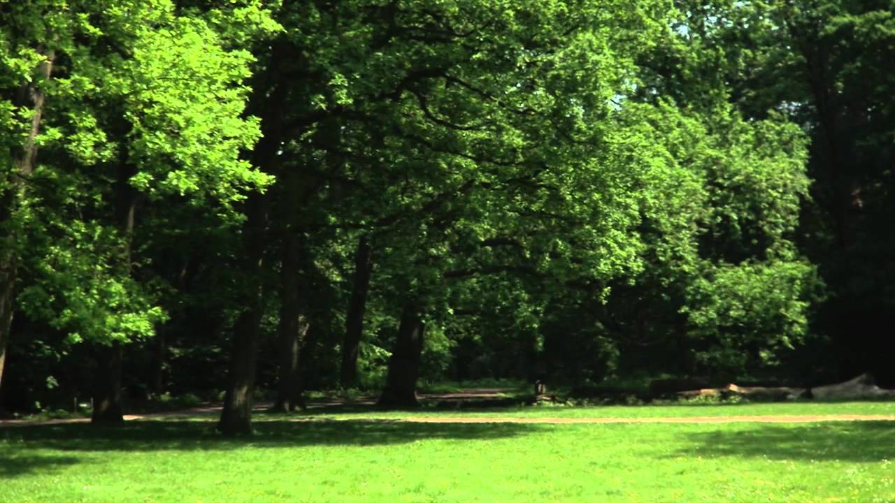 Bomenridder Isolde   (Portret Documentaire)