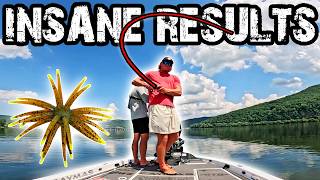 Catching Giant Bass on the Viral Urchin Bait (Insane Results)