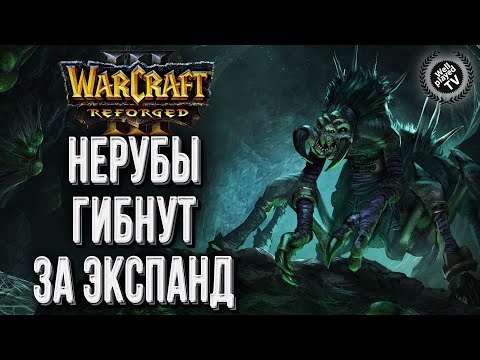 НЕРУБЫ ГИБНУТ ЗА ЭКСПАНД: Krasik (Ne) vs Ally (Ud) Warcraft 3 Reforged