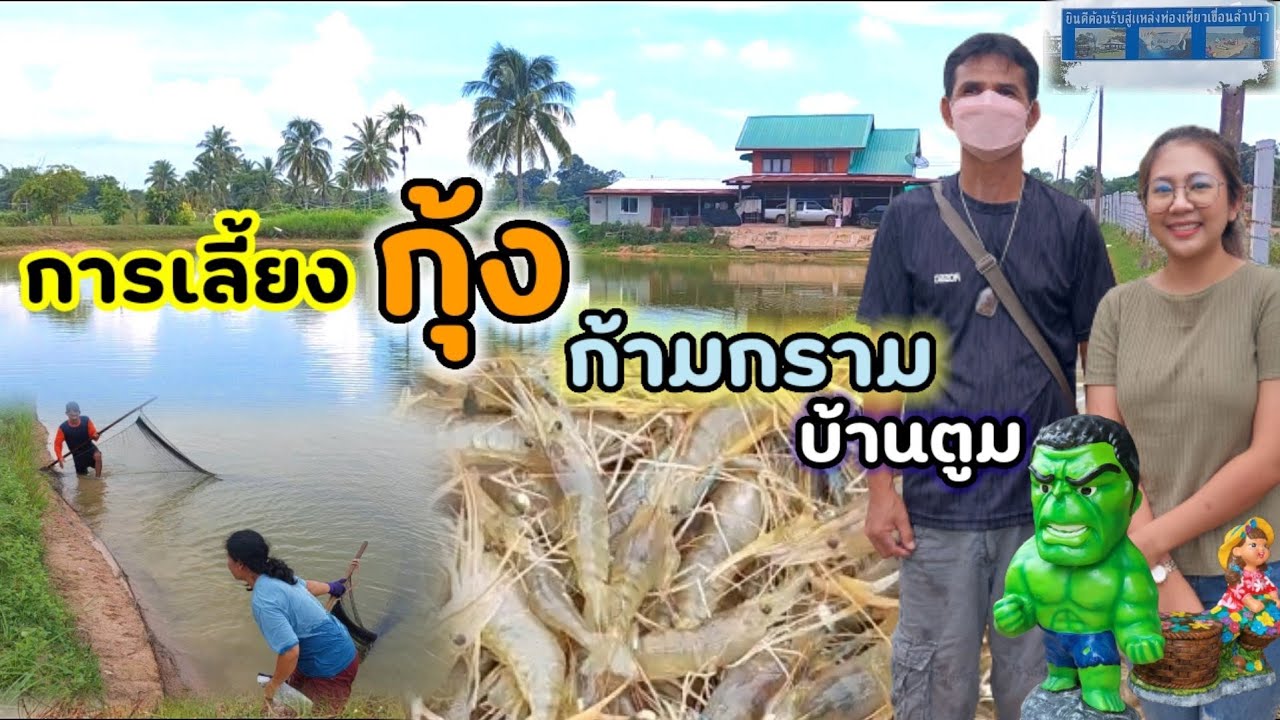 เลี้ยงกุ้ง ก้ามกราม กุ้งฝอย โดยชาวบ้านรวมกันทำเป็นกลุ่ม ประสบความสำเร็จและเกิดรายได้ เป็นอาชีพหลัก