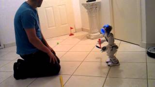 NAO Robot plays golf  Lesson 1