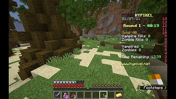 Hypixel Vampirez Best spot to hide in plundered. 1.14+