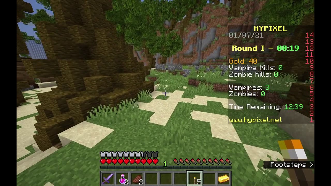 Hypixel Vampirez Best spot to hide in plundered. 1.14+