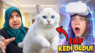 ELİF KEDİ OLUP EVDEN KAÇTI! 🐈 (VR VS GERÇEK HAYAT)