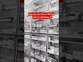 Medical Shop || motivational quotes #motivation #medical #shorts #viral #reels #foryou #viralreels