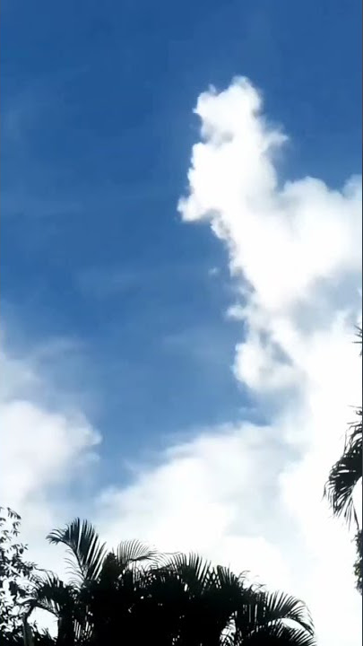 vidio langit biru# shorts#youtube shorts#langit cerah# awan bergerak# langit timelapse#awan#alami