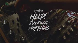 Help! it keep morphing | Moog Labyrinth | improv set
