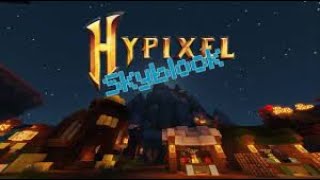 Hypixel Skyblock  NEU/ProfitCalculator/NotEnoughUpdates