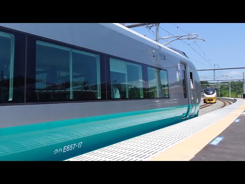 特急ひたち14号品川行(ｸﾞﾘｰﾝﾚｲｸ)&ひたち3号仙台行(ｲｴﾛｰｼﾞｮﾝｷﾙ) 桃内駅列車交換 6/19 別視点