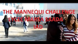 THE MANNEQUIN CHALLENGE|| LMS IAD