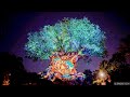 Tree of Life Awakenings - Lion King [4K 2022]
