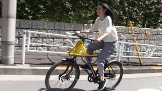 オランダ生まれスマートバイク