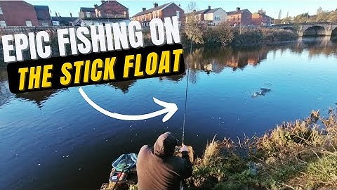 HUGE Roach, Dace & Perch -   Stick Float Fishing