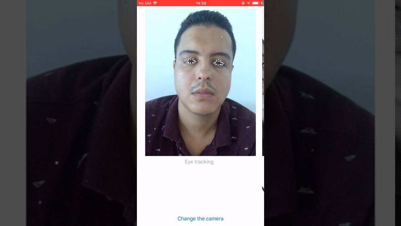 Eye tracking based on "CNN facial landmarks" project