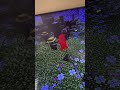 Minecraft villager got turn to zombie villager in 2025