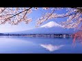 最美丽的火山：日本富士山