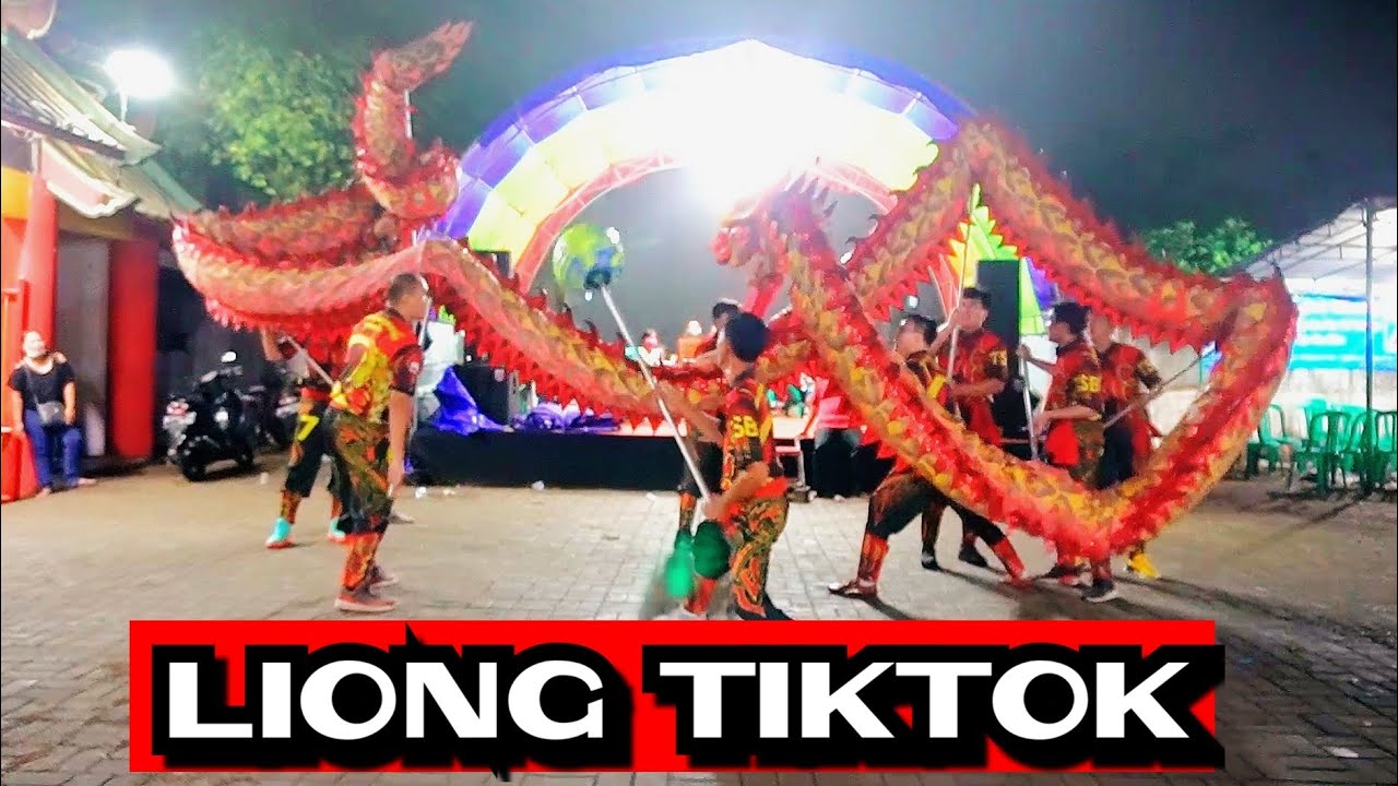 PENAMPILAN LIONG TIKTOK PARGOY | SPESIAL SEJIET TJO SU BIO KE 73 😁