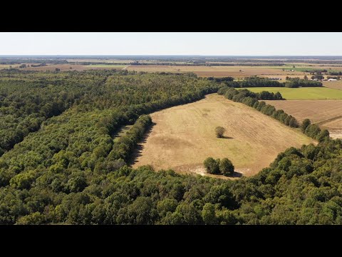 320-Acre Arkansas Farm & Hunting Land