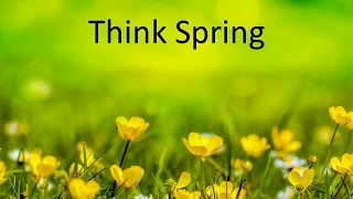 Think Spring