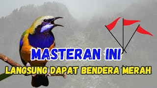 Download Lagu MASTERAN RAJA TEMBAK RAJANYA MASTERAN BIKIN JUARA BERKALI KALI by cucak cungkok #masteranjawara MP3