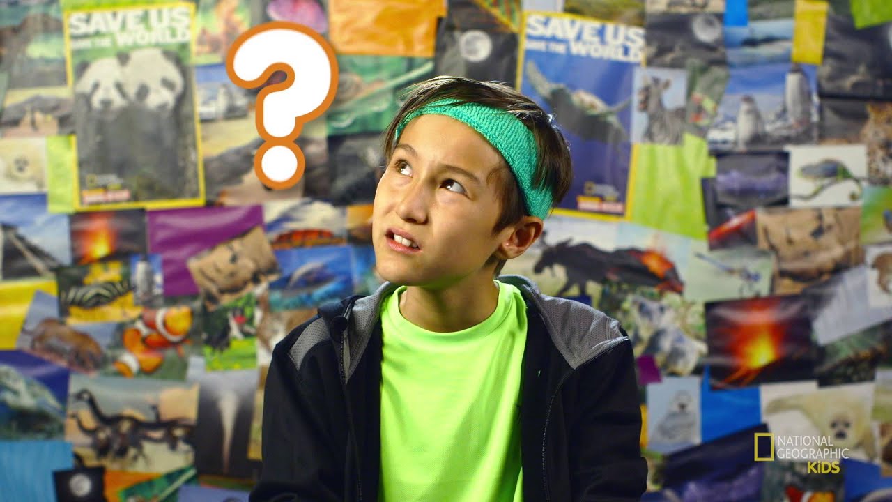 The Biggest and the Smallest Animals | Nat Geo Kids By the Numbers Playlist