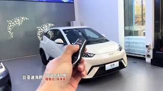 All New 2025 BYD Seagull EV - Exterior And Interior