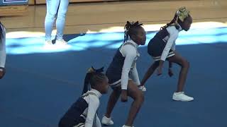 SYFL CHEER 2018 LA RAMS