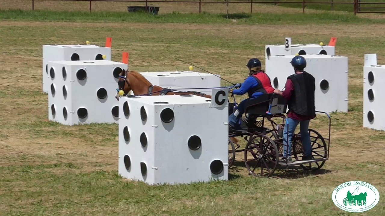 Northern California Driving Club CDE 2019 - Pat Scholderer (Marathon)