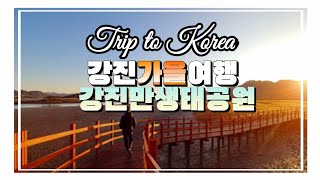 강진만생태공원 생태체험관 영상