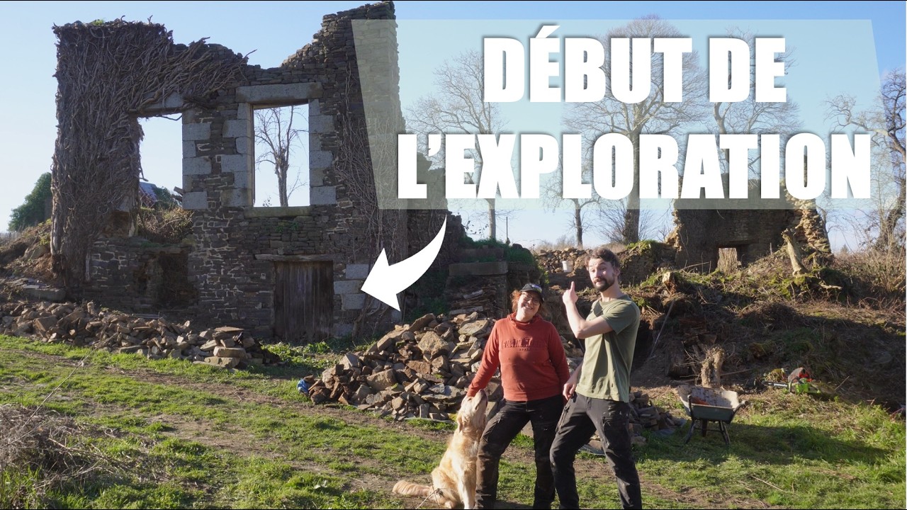 МЫ НАЧИНАЕМ ИССЛЕДОВАНИЕ РУИН!