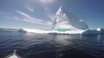 Seal sliding off of massive iceberg