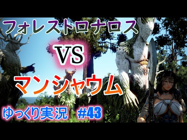 ゆっくり実況 Pc版黒い砂漠で放浪 43 フォレストロナロス Vs マンシャウム 狩場レポート Black Desert Online o Youtube