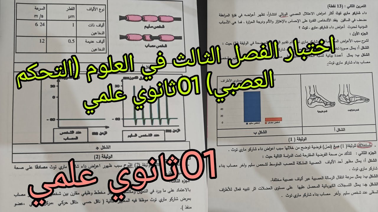اختبار الفصل الثالث في العلوم حول التحكم العصبي للسنة الاولى ثانوي علمي 