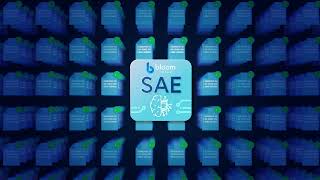 Smart Auth Engine Explainer - Bloomvalue Motion Design