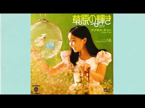 アグネス・チャン　草原の輝き