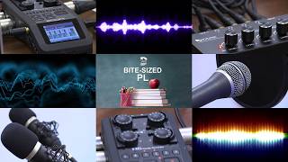 Bite-Sized PL Podcast Promotion