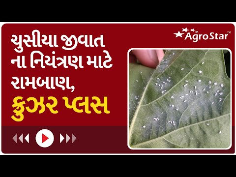 પાવર ગ્રો ક્રુઝર પ્લસ| Power Grow Cruzer Plus |#agrostar| AgroStar Agri Dr. Pratik Pethani - પાવર ગ્રો ક્રુઝર પ્લસ| Power Grow Cruzer Plus |#agrostar| AgroStar Agri Dr. Pratik Pethani