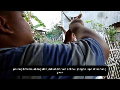 Video: Cara Memotong Kelinci Dari Kertas