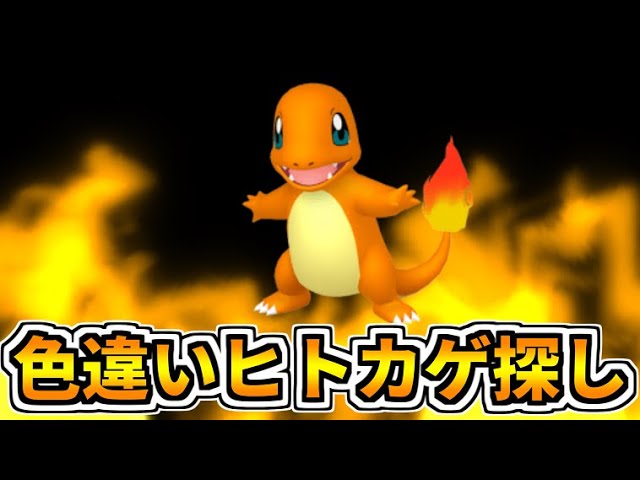 色違いヒトカゲを探す旅【2022/12/2】 - YouTube