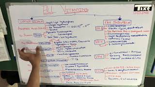 Vitamin B1 B2 b3 | ALL | Part 2 of 5