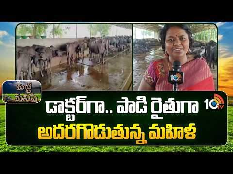 Woman Doctor Turned Dairy Farmer | Inspiring Story |డాక్టర్‎గా.. పాడి రైతుగా అదరగొడుతున్న మహిళ |10TV - 10TVNEWSTELUGU